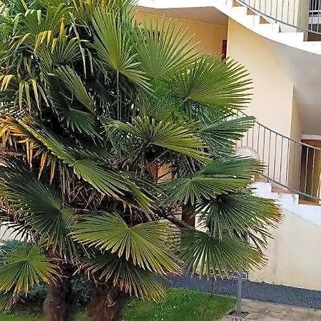Charming In The Heart Of La Palmyre 3*